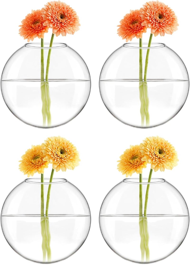 Mkono Wall Hanging Planter Propagation Station Glass Flower Vase for Hydroponics Plants, Bathroom, Home Office Living Room Decor Gift, Oblate Set of 4 - Image 3